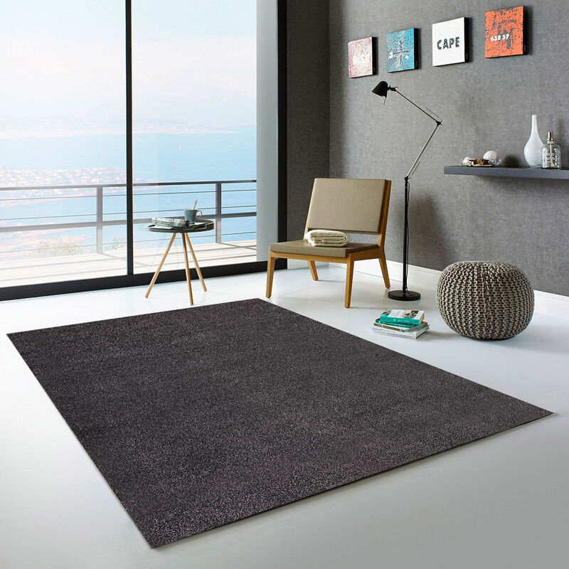 

Alfombra antiestática negra gris moderna para la entrada de la sala de estar Casacolora CCGRN | Talla: 80 x 150