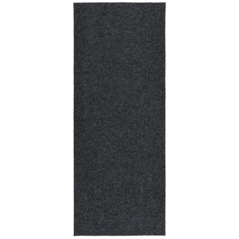 

Alfombra de pasillo atrapa suciedad 100x250 cm gris antracita