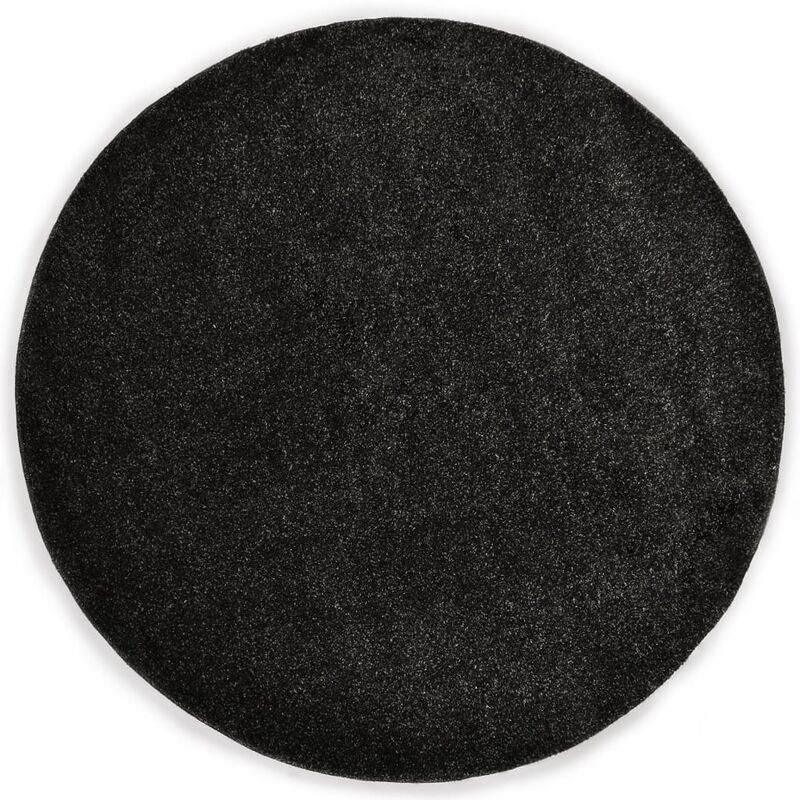 

vidaXL Alfombra de pelo gris antracita 160 cm - Antracita