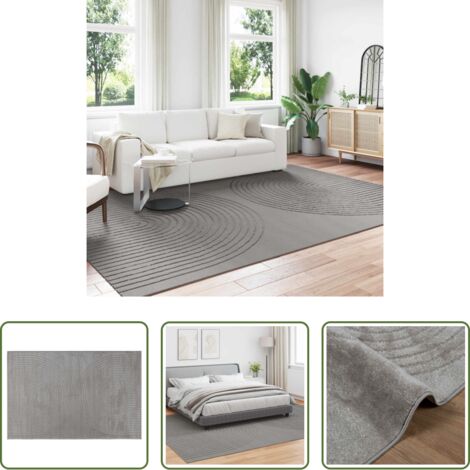 Alfombra gris -  Alfombras de área Rectangular GALATI Gris 280 x 200 cm