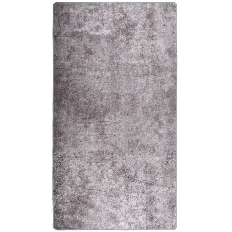 

Alfombra lavable antideslizante gris 190x300 cm