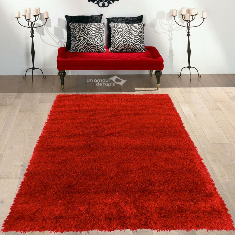 

Alfombra pelo hirsuto largo 60x110 cm rectangular MALAIDORY Negro de entrada Handtufted adecuado para calefacción por suelo radiante - Rouge