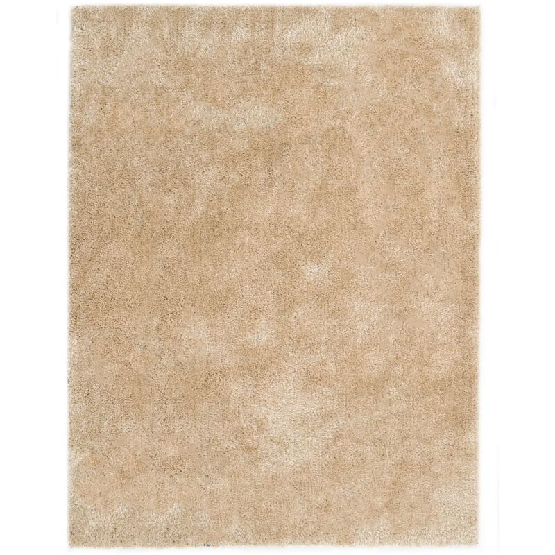 

Alfombra peluda beige 80x150 cm - Beige - Vidaxl