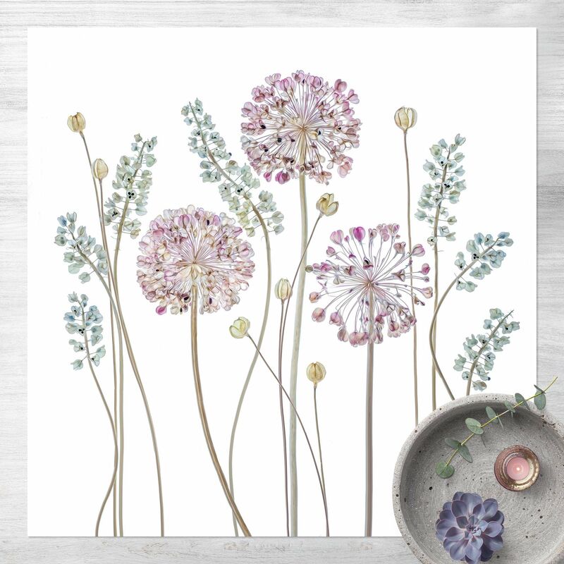 

Alfombras vinílicas - Allium Illustration - Cuadrado 1:1 Dimensión LxA: 120cm x 120cm