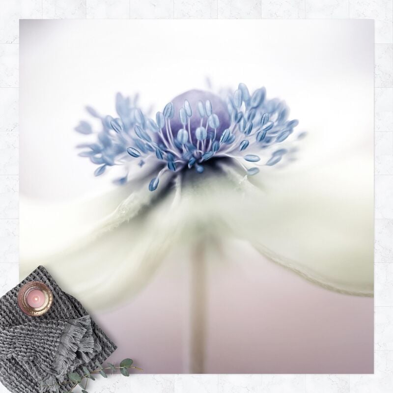 

Bilderwelten - Alfombras vinílicas - Anemone In Violet - Cuadrado 1:1 Dimensión LxA: 140cm x 140cm
