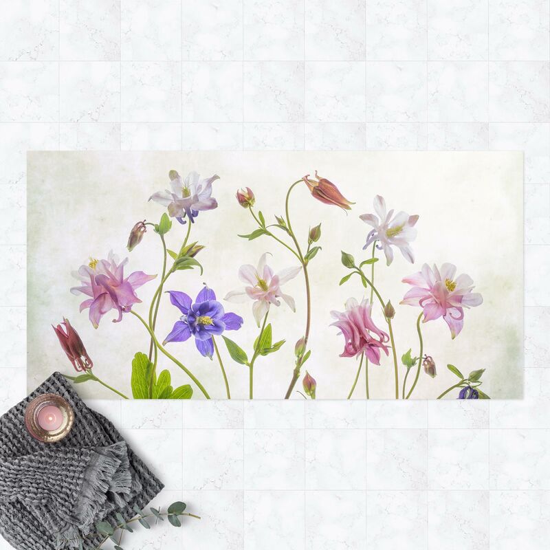 

Bilderwelten - Alfombras vinílicas - Aquilegia Vulgaris - Apaisado 1:2 Dimensión LxA: 80cm x 160cm