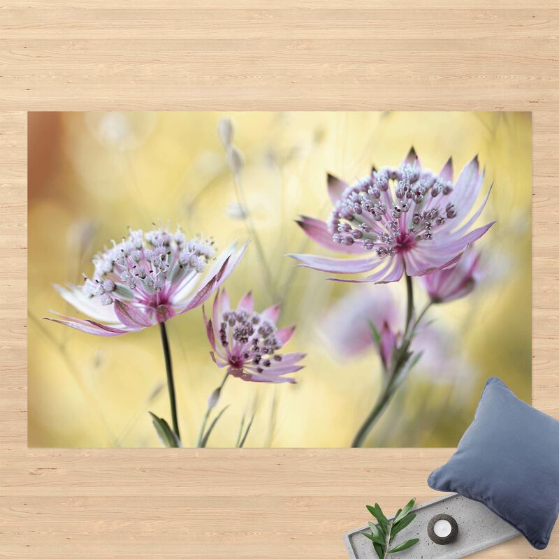 

Alfombras vinílicas - Astrantia Major - Apaisado 2:3 Dimensión LxA: 100cm x 150cm