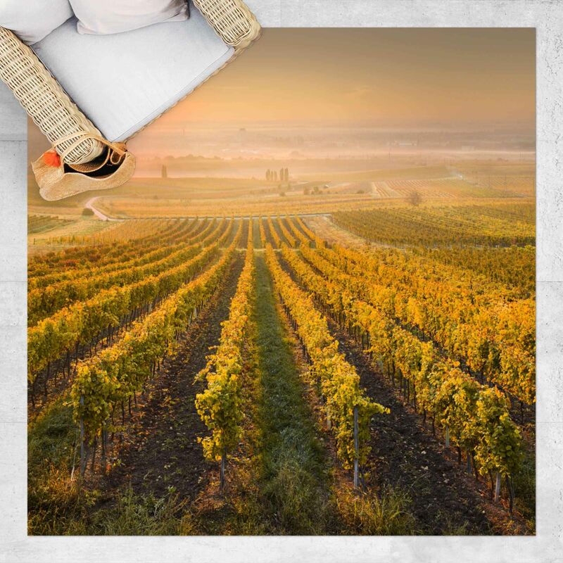 

Bilderwelten - Alfombras vinílicas - Autumnal Vineyards Near Vienna - Cuadrado 1:1 Dimensión LxA: 120cm x 120cm