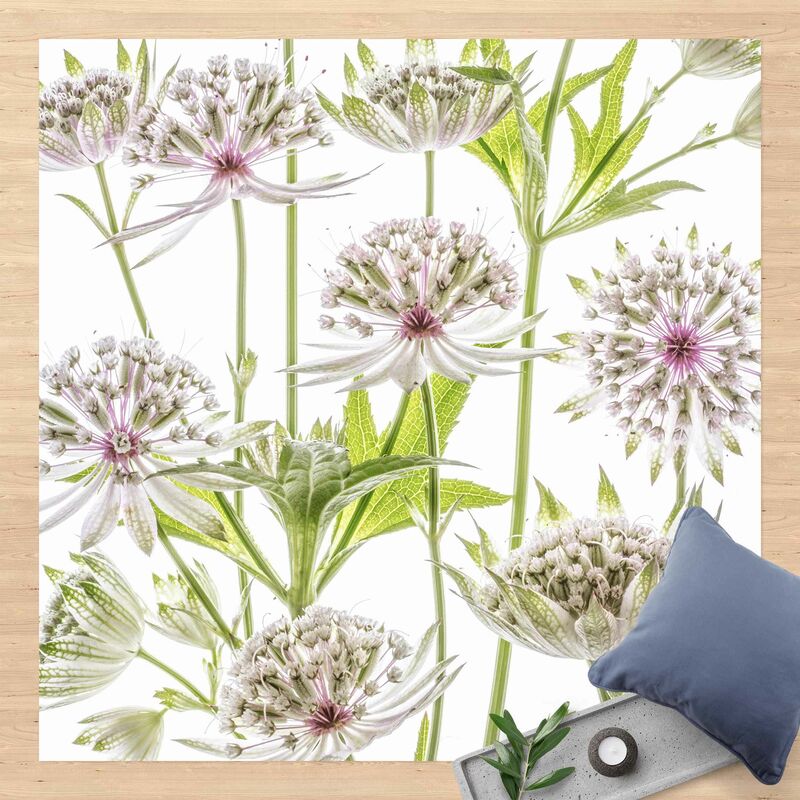 

Alfombras vinílicas - Big Astrantia - Cuadrado 1:1 Dimensión LxA: 40cm x 40cm