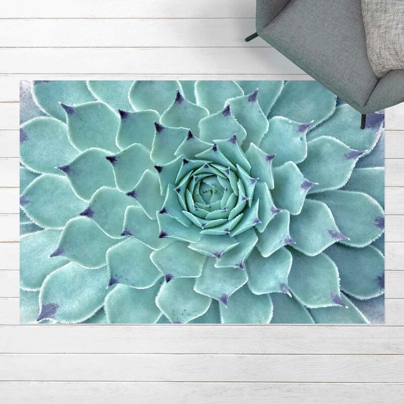 

Alfombras vinílicas - Cactus Agave - Apaisado 2:3 Dimensión LxA: 100cm x 150cm