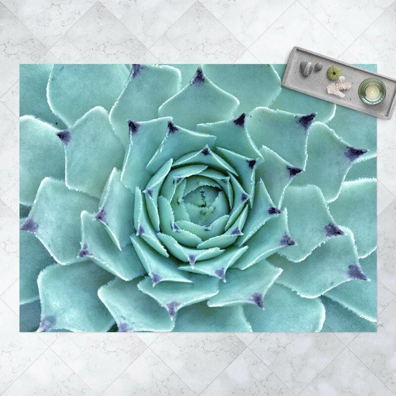

Bilderwelten - Alfombras vinílicas - Cactus Agave - Apaisado 3:4 Dimensión LxA: 45cm x 60cm