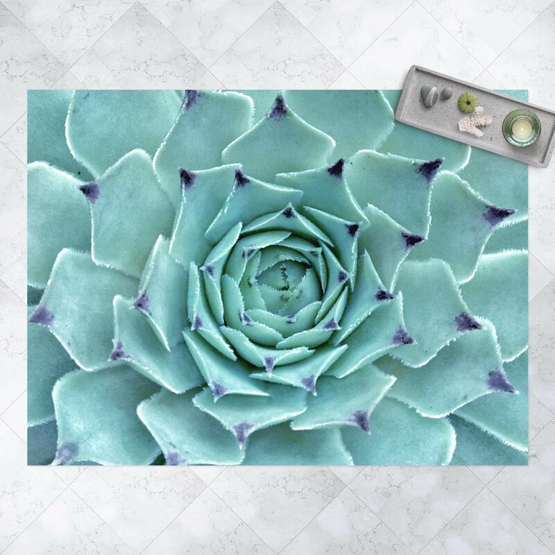 

Bilderwelten - Alfombras vinílicas - Cactus Agave - Apaisado 3:4 Dimensión LxA: 135cm x 180cm