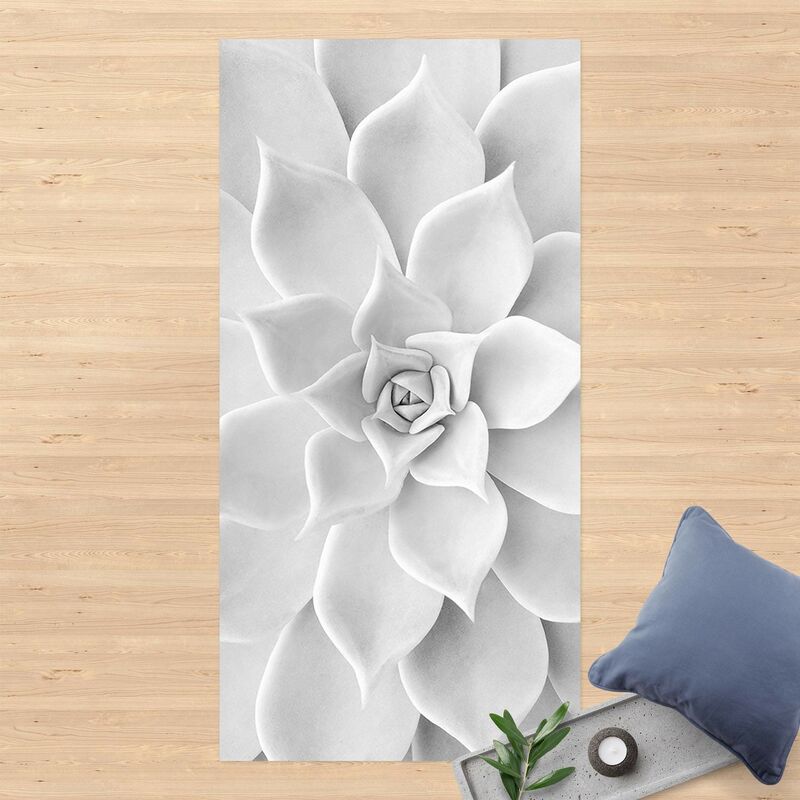 

Alfombras vinílicas - Cactus Succulent - Alto 2:1 Dimensión LxA: 100cm x 50cm