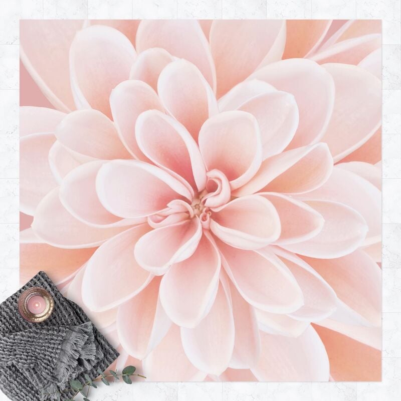 

Bilderwelten - Alfombras vinílicas - Dahlia In Pastel Pink - Cuadrado 1:1 Dimensión LxA: 140cm x 140cm