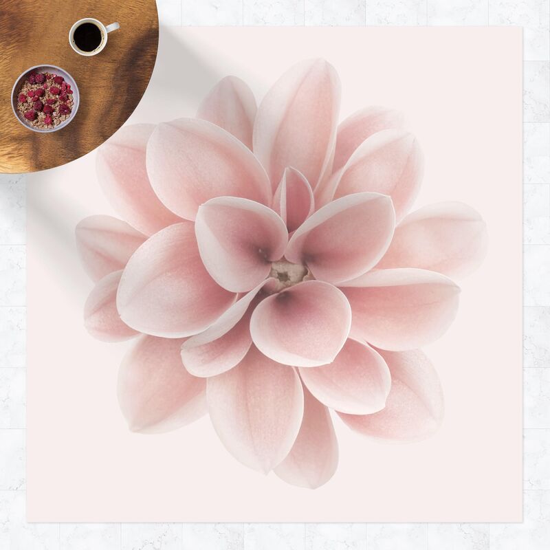 

Bilderwelten - Alfombras vinílicas - Dahlia Pink Pastel Flower Centered - Cuadrado 1:1 Dimensión LxA: 120cm x 120cm