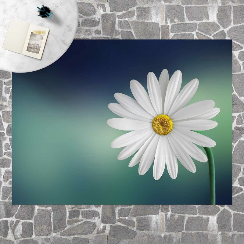 

Alfombras vinílicas - Daisy Close Up - Apaisado 3:4 Dimensión LxA: 75cm x 100cm