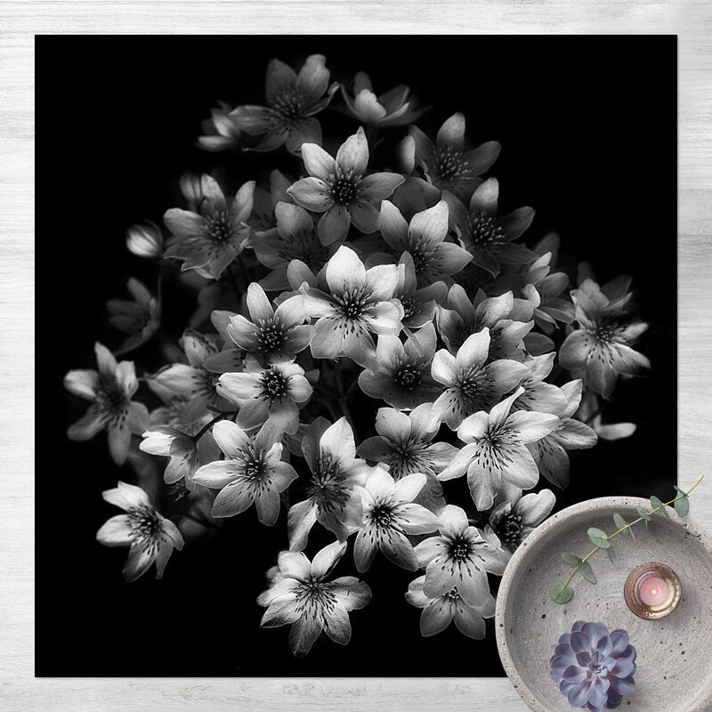 

Bilderwelten - Alfombras vinílicas - Dark Clematis Bouquet - Cuadrado 1:1 Dimensión LxA: 140cm x 140cm