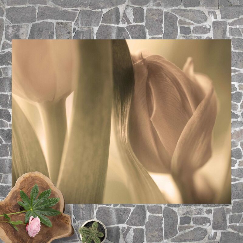 

Alfombras vinílicas - Delicate Tulip - Apaisado 3:4 Dimensión LxA: 120cm x 160cm