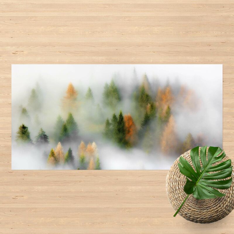 

Bilderwelten - Alfombras vinílicas - Foggy Forest In The Fall - Apaisado 1:2 Dimensión LxA: 80cm x 160cm