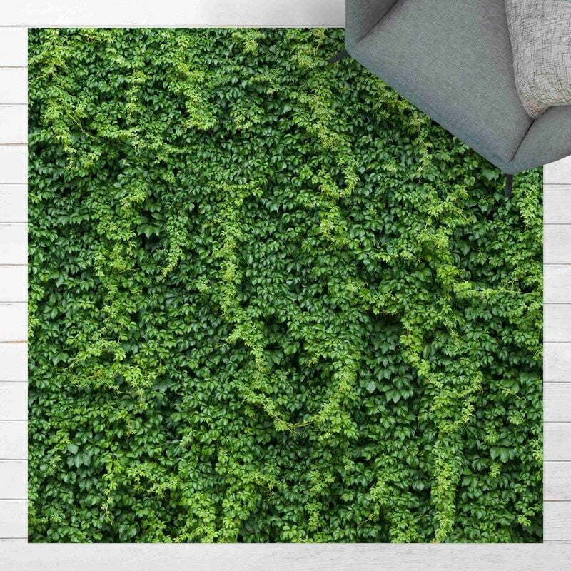 

Bilderwelten - Alfombras vinílicas - Ivy - Cuadrado 1:1 Dimensión LxA: 120cm x 120cm