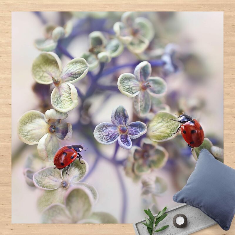 

Bilderwelten - Alfombras vinílicas - Ladybird In The Garden - Cuadrado 1:1 Dimensión LxA: 120cm x 120cm