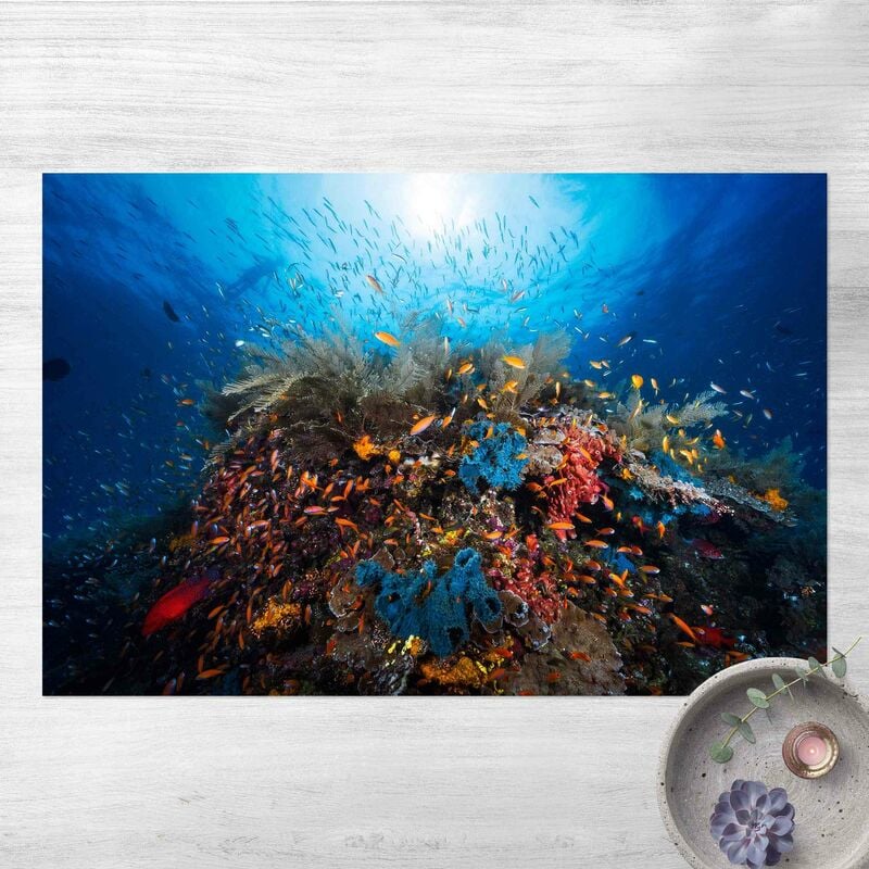

Alfombras vinílicas - Lagoon Underwater - Apaisado 2:3 Dimensión LxA: 60cm x 90cm