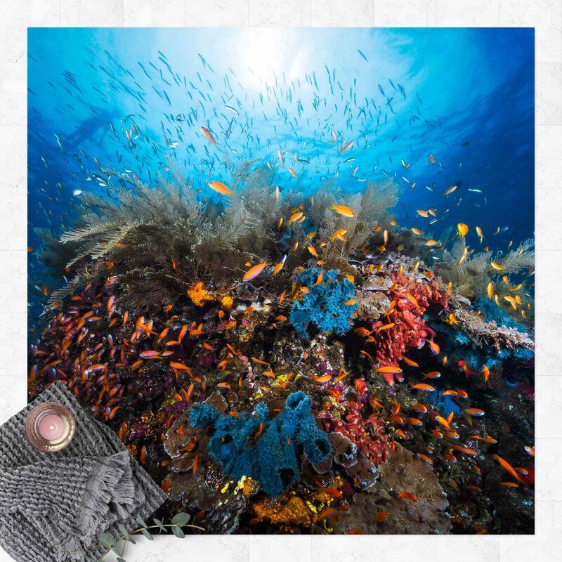 

Bilderwelten - Alfombras vinílicas - Lagoon Underwater - Cuadrado 1:1 Dimensión LxA: 140cm x 140cm