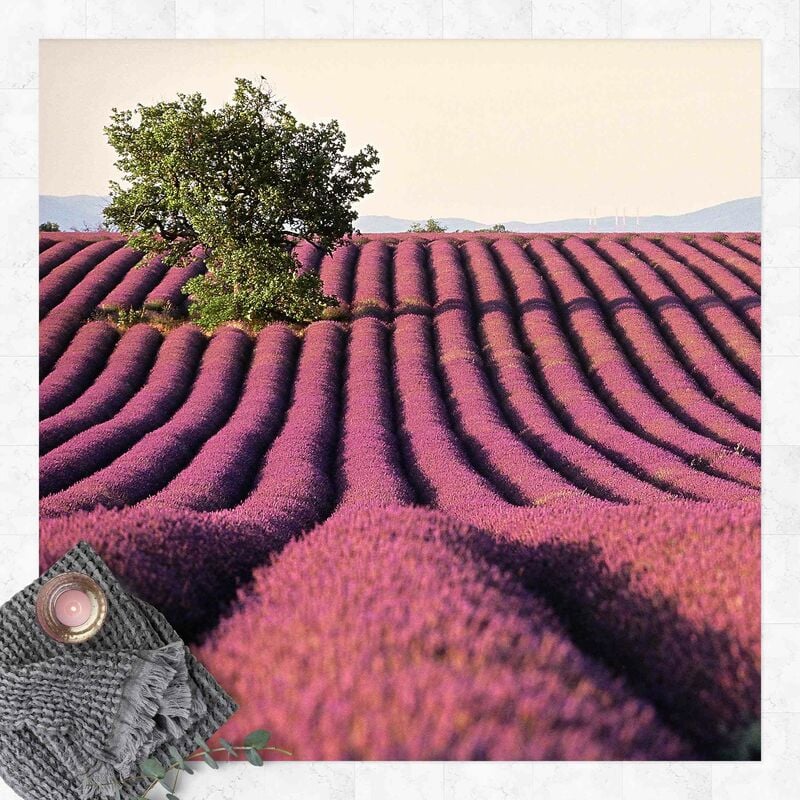 

Alfombras vinílicas - Lavender - Cuadrado 1:1 Dimensión LxA: 40cm x 40cm
