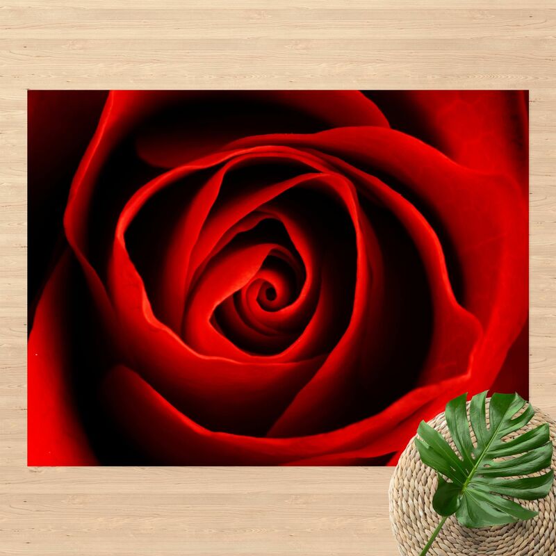 

Alfombras vinílicas - Lovely Rose - Apaisado 3:4 Dimensión LxA: 90cm x 120cm