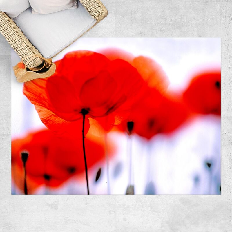 

Alfombras vinílicas - Magic Poppies - Apaisado 3:4 Dimensión LxA: 75cm x 100cm