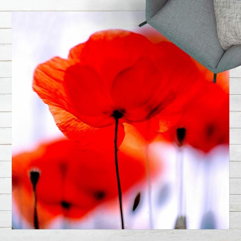 

Bilderwelten - Alfombras vinílicas - Magic Poppies - Cuadrado 1:1 Dimensión LxA: 140cm x 140cm