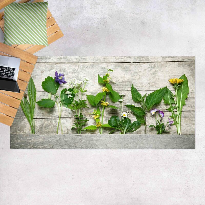 

Alfombras vinílicas - Medicinal And Meadow Herbs - Apaisado 1:2 Dimensión LxA: 70cm x 140cm