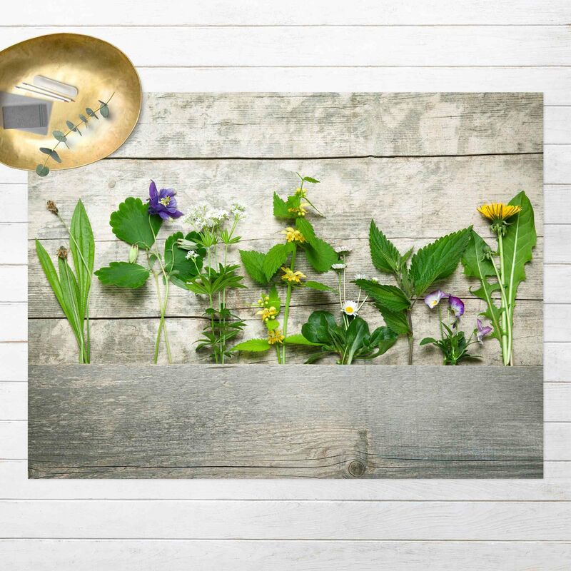 

Alfombras vinílicas - Medicinal And Meadow Herbs - Apaisado 3:4 Dimensión LxA: 75cm x 100cm