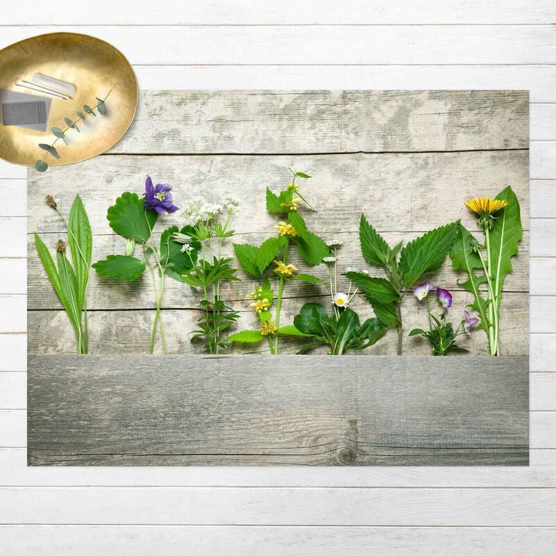 

Alfombras vinílicas - Medicinal And Meadow Herbs - Apaisado 3:4 Dimensión LxA: 45cm x 60cm