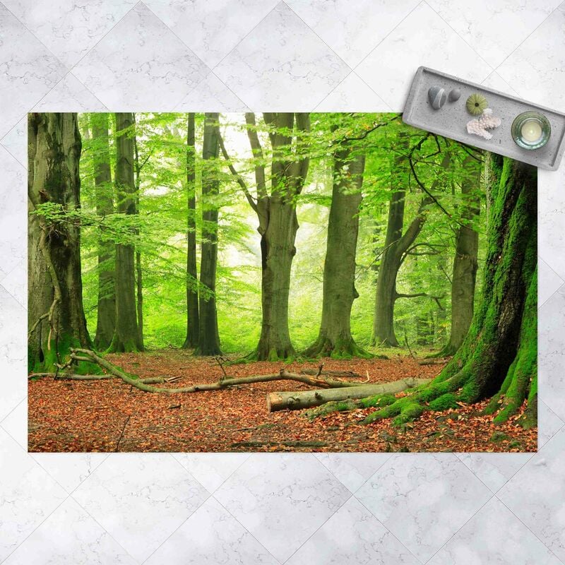 

Alfombras vinílicas - Mighty Beech Trees - Apaisado 2:3 Dimensión LxA: 40cm x 60cm