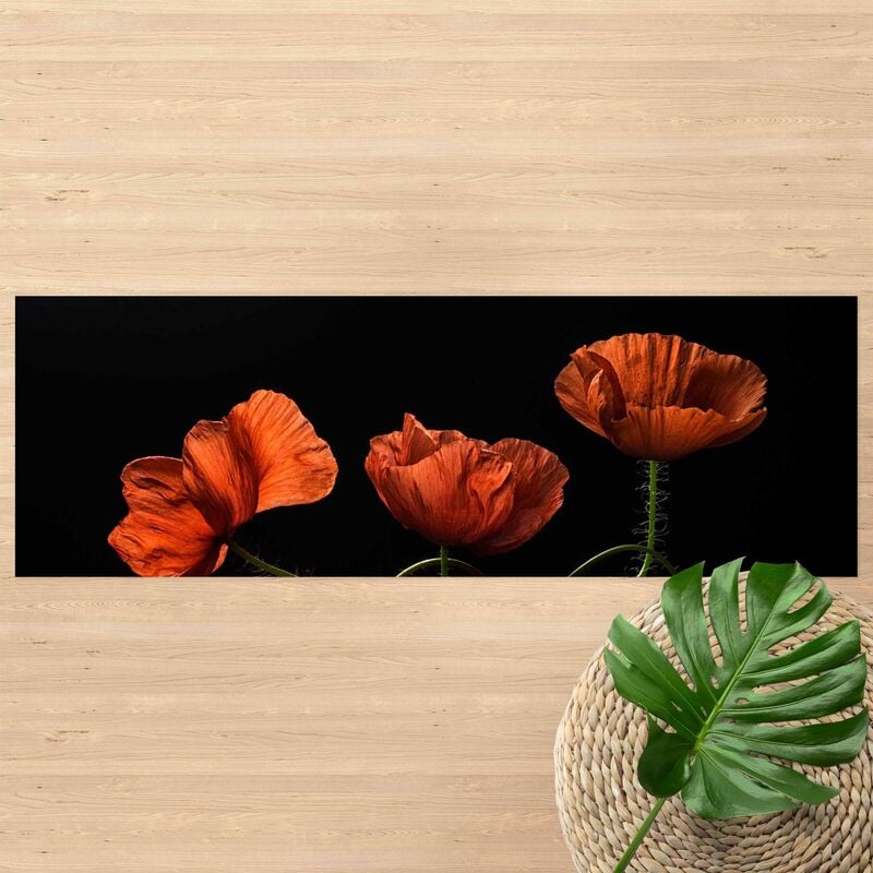 

Alfombras vinílicas - Poppy Flowers At Midnight - Panorama Formato apaisado Dimensión LxA: 50cm x 150cm