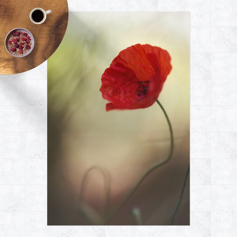 

Alfombras vinílicas - Poppy In The Garden - Alto 3:2 Dimensión LxA: 150cm x 100cm