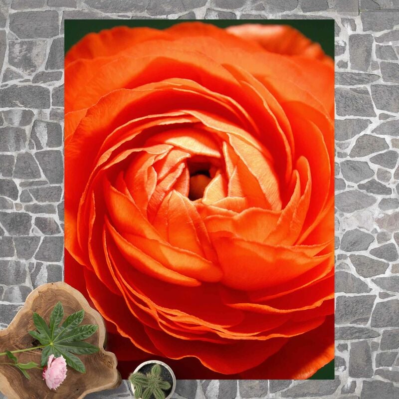 

Alfombras vinílicas - Ranunkel Classical - Alto 4:3 Dimensión LxA: 80cm x 60cm