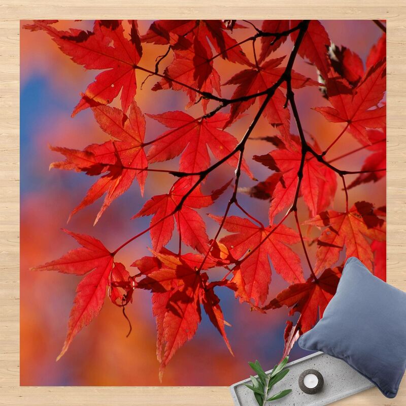 

Alfombras vinílicas - Red Maple - Cuadrado 1:1 Dimensión LxA: 120cm x 120cm