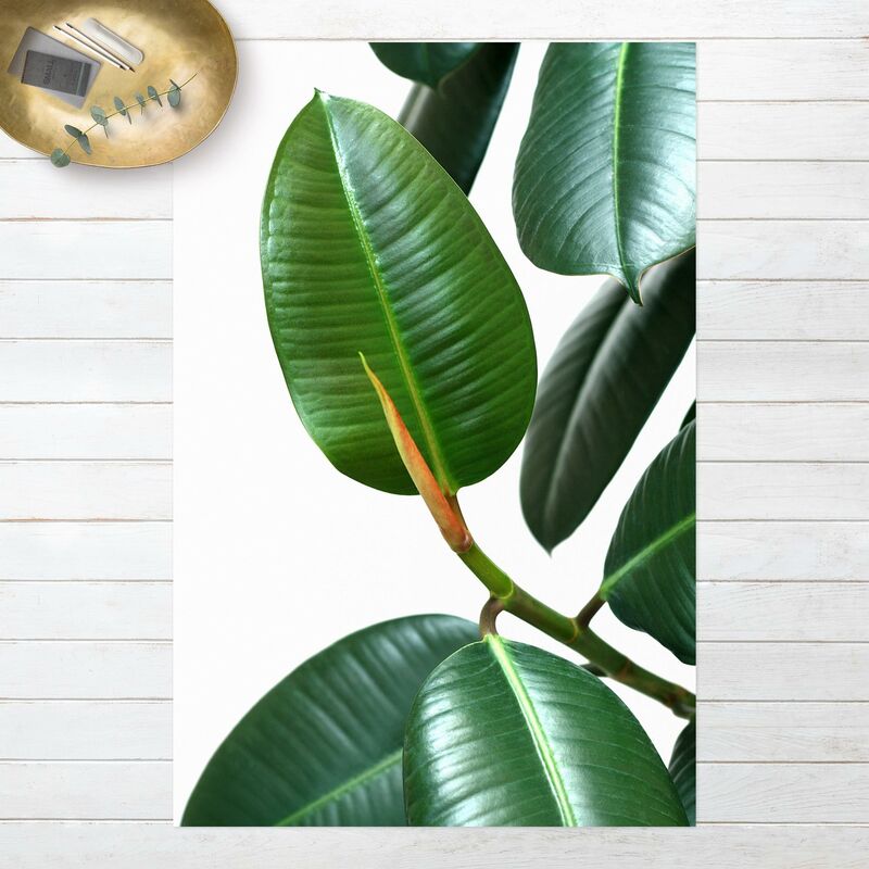 

Alfombras vinílicas - Rubber Tree - Alto 3:2 Dimensión LxA: 120cm x 80cm