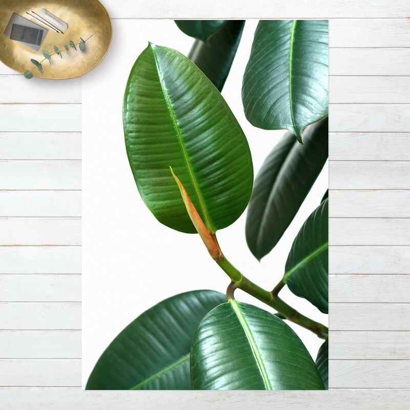 

Alfombras vinílicas - Rubber Tree - Alto 3:2 Dimensión LxA: 60cm x 40cm