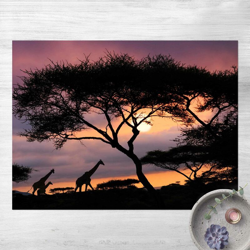 

Alfombras vinílicas - Safari In Africa - Apaisado 3:4 Dimensión LxA: 90cm x 120cm