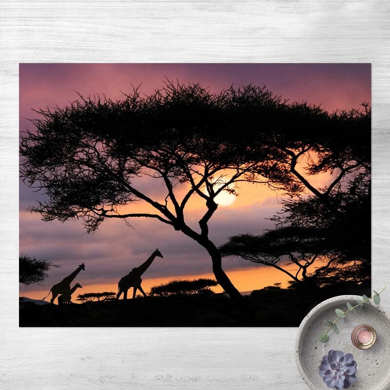 

Alfombras vinílicas - Safari In Africa - Apaisado 3:4 Dimensión LxA: 105cm x 140cm