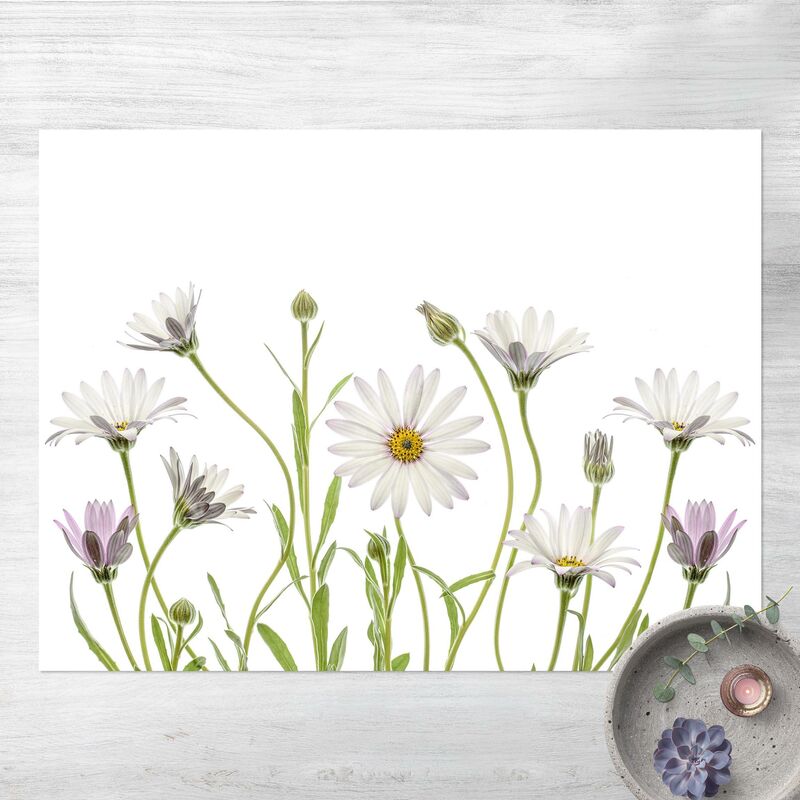 

Alfombras vinílicas - Southafrican Daisy - Apaisado 3:4 Dimensión LxA: 75cm x 100cm