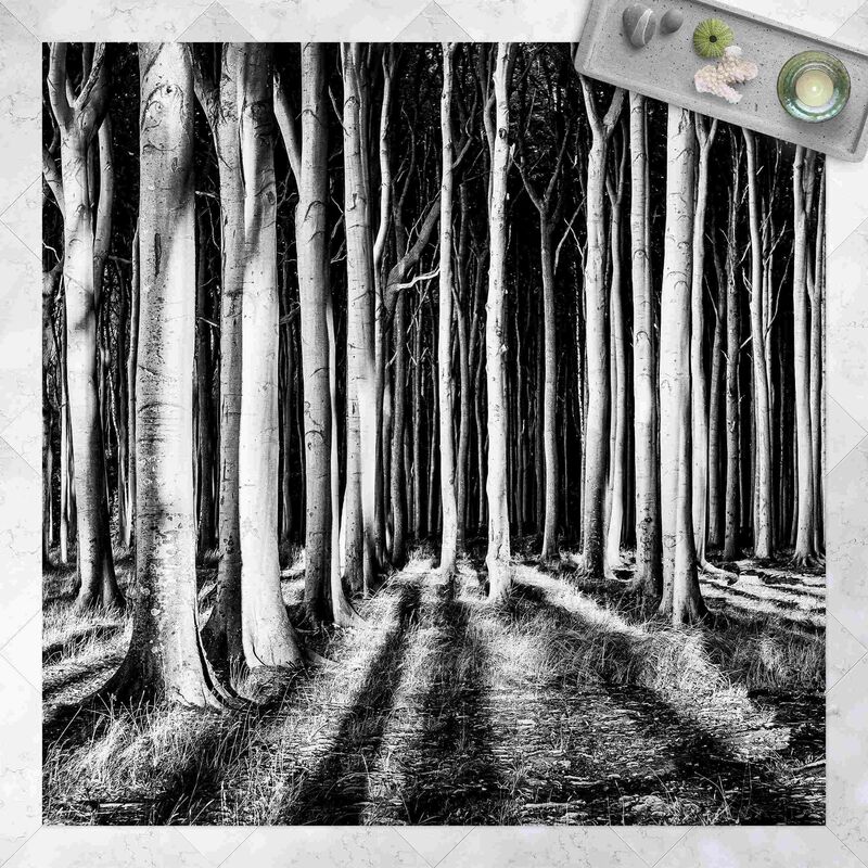 

Alfombras vinílicas - Spooky Forest - Cuadrado 1:1 Dimensión LxA: 80cm x 80cm