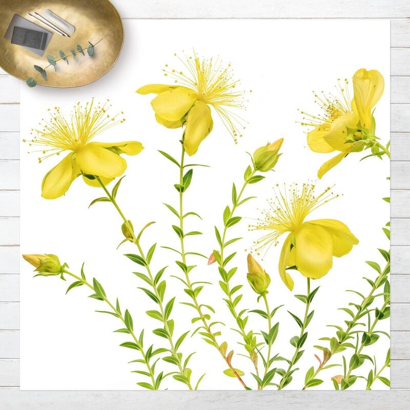 

Bilderwelten - Alfombras vinílicas - St. John's Wort In Full Bloom - Cuadrado 1:1 Dimensión LxA: 100cm x 100cm