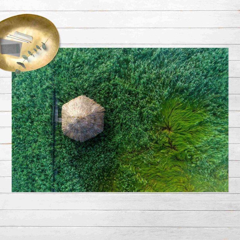 

Alfombras vinílicas - Straw Hut In High Reed - Apaisado 2:3 Dimensión LxA: 60cm x 90cm