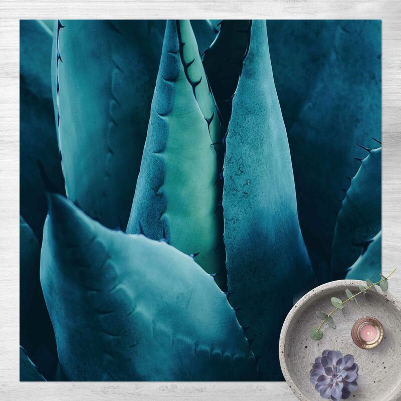 

Alfombras vinílicas - Succulent Plant Petrol - Cuadrado 1:1 Dimensión LxA: 60cm x 60cm