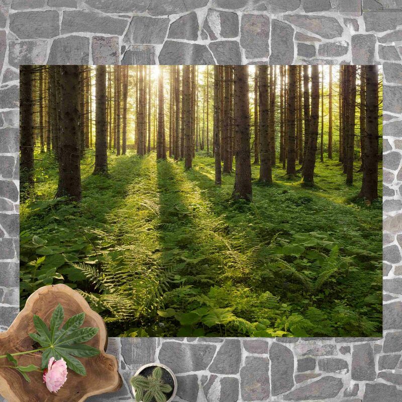 

Alfombras vinílicas - Sun Rays In Green Forest - Apaisado 3:4 Dimensión LxA: 75cm x 100cm