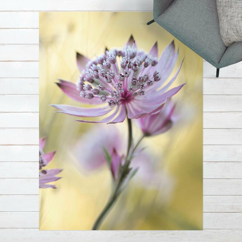 

Alfombras vinílicas - Astrantia Major - Alto 4:3 Dimensión LxA: 180cm x 135cm